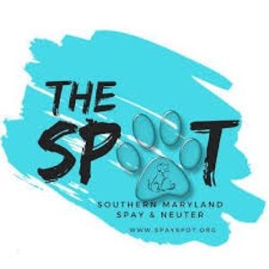 Meet your Posher, Spot